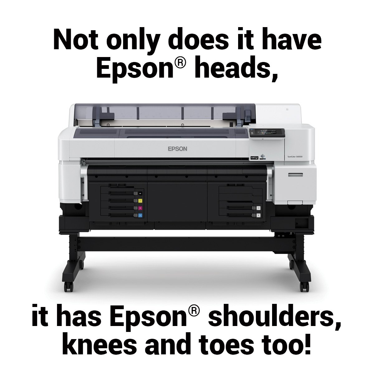 OA機器 EPSON SC-P6050C9/ PXMC24R13 Amazon | EPSON プロフェッショナルフォトペーパー[薄手半光沢